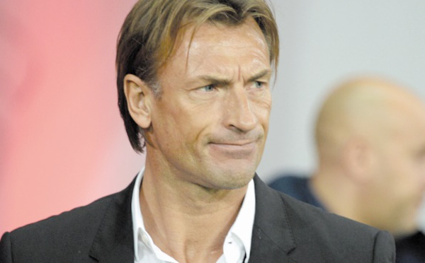 Renard pisté par Saint-Etienne