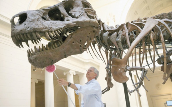 Le T.Rex n'était pas un dinosaure à plumes