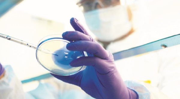 Les cellules reprogrammées iPS utiles pour toutes les maladies