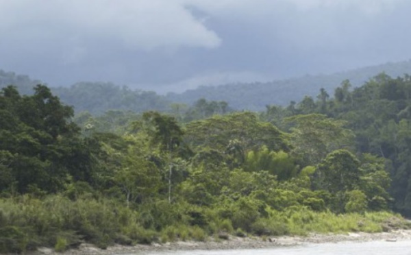 Les projets de barrages sur l'Amazone dévasteraient l'environnement