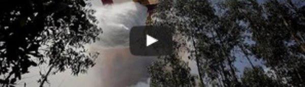 Portugal : reprise de l'incendie, la polémique enfle