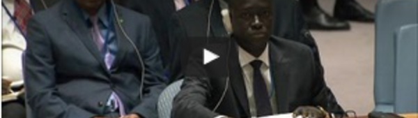 La force anti-djihadiste du G5 Sahel approuvée par l'ONU