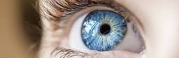 Insolite : Quand je parle du soleil, tes yeux s'éclairent