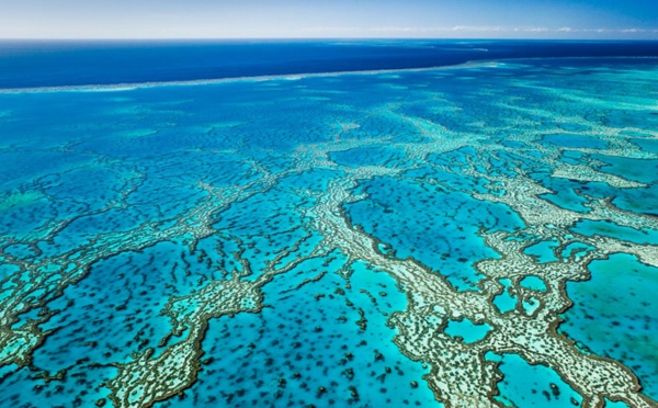 La valeur de la Grande barrière de corail en Australie