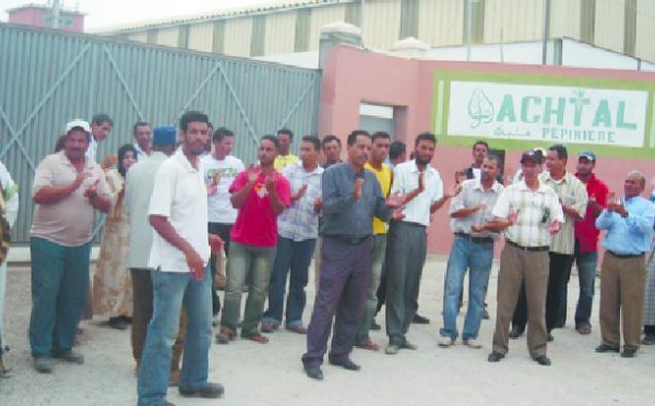 Crise sociale dans le secteur agricole à Chtouka Aït Baha : La situation risque de se dégrader davantage