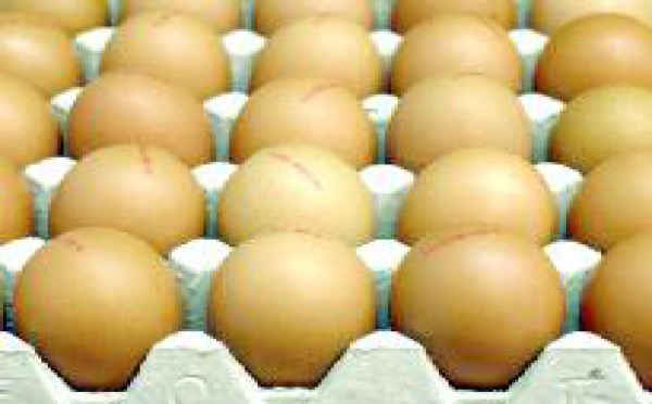 Alimentation : comparer le «bio» et le «non bio» n'a pas de sens