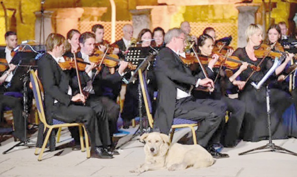 Insolite : Chien mélomane
