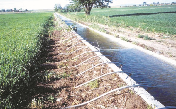 Innover en matière d’utilisation de l’eau pour faire face au changement climatique