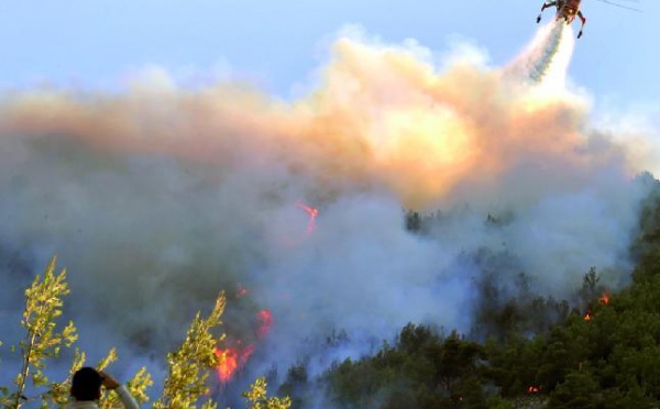 Incendies en Grèce  : Athènes sous la menace des feux