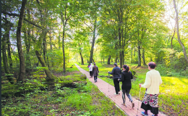 Un jardin suisse pour soigner des troubles psychiques en Pologne