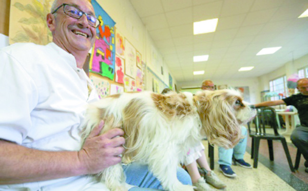 Des chiens pour soigner des malades mentaux