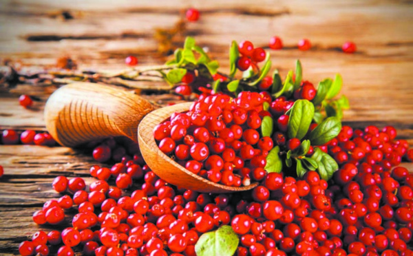 Les cranberries pour le bien-être intestinal