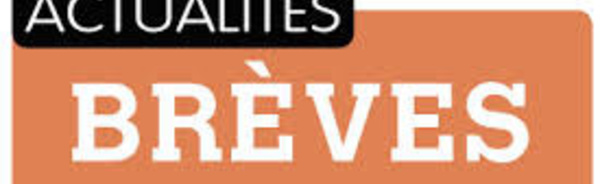 Brèves