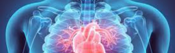 Nouvelle technique pour détecter une maladie  cardiovasculaire