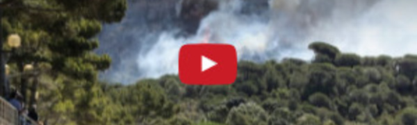 Incendies dans le Var : environ 10 000 personnes évacuées dans la nuit