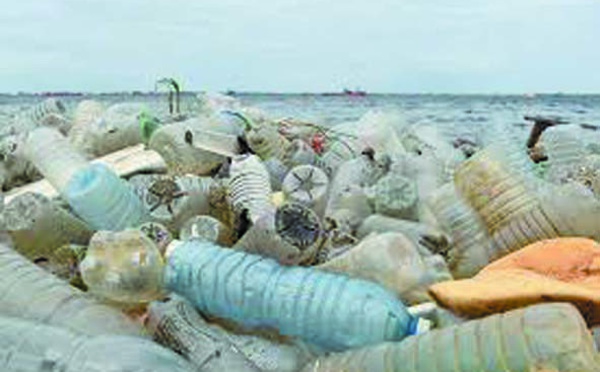 Des milliards de tonnes de plastique s'accumulent dans la nature