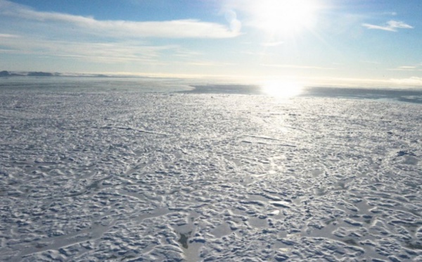 2016 année noire pour le climat