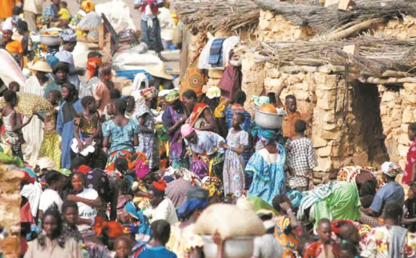 Le danger du blocage des prix en Côte d’Ivoire