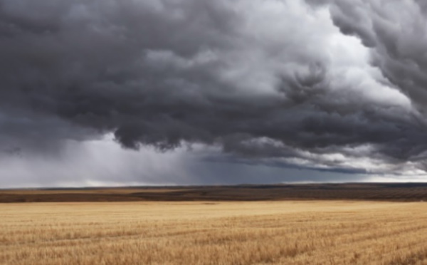 Le changement climatique va réduire les rendements agricoles