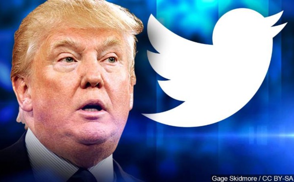 Une ancienne membre de la CIA veut  racheter Twitter pour en exclure Trump