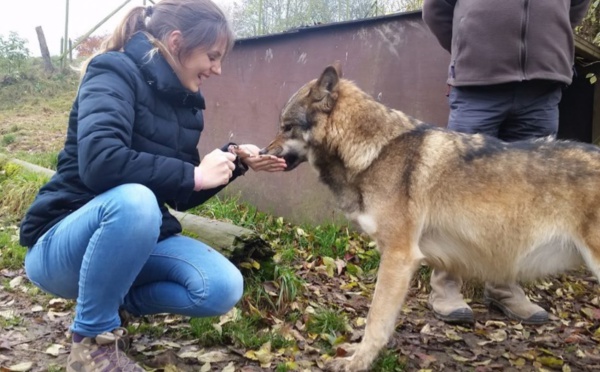 Quand des managers se jettent dans la gueule du loup