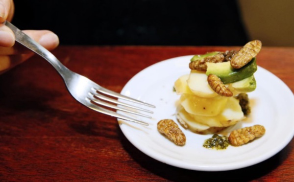 En Thaïlande, la gastronomie pour rendre les insectes à la mode
