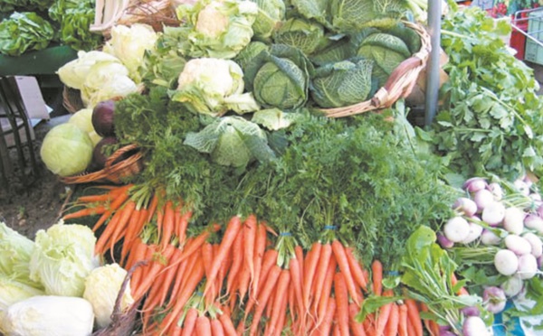Le Maroc premier fournisseur de l’Espagne en fruits et légumes
