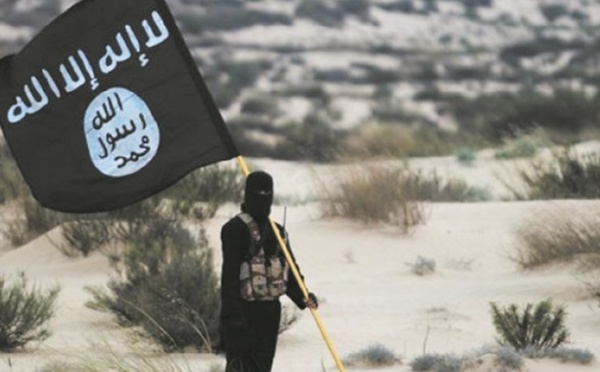 Comment gérer le retour des combattants marocains de Daech ?