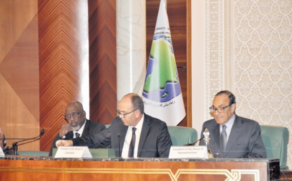 Habib El Malki : L’Afrique et le monde arabe peuvent devenir ensemble une puissance économique émergente