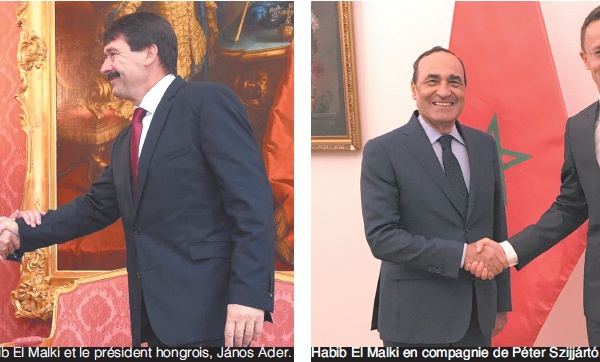 Echanges fructueux entre Habib El Malki et les dirigeants hongrois