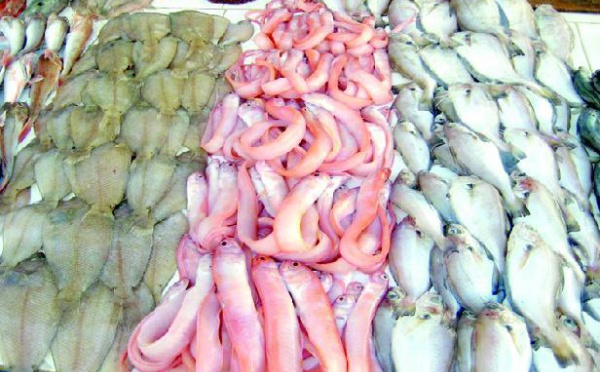Marché de gros des produits de la mer de la métropole : Le S.O.S. des professionnels