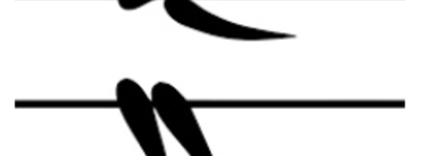 Le développement et la promotion du volley-ball au centre d'une réunion de la zone I de la CAVB