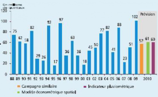 Même si les prévisions de Bank Al Maghrib sont conservatrices :  La production céréalière dépasserait les 60 millions de quintaux en 2010