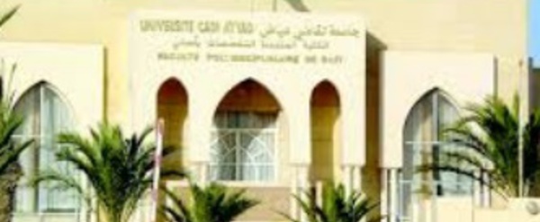 Journées de formation organisées par l’AMPS à Marrakech