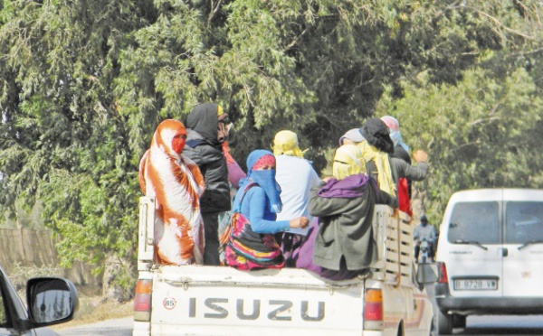 Un accident meurtrier à Chtouka Ait Baha fait revivre le débat sur les conditions des ouvriers agricoles