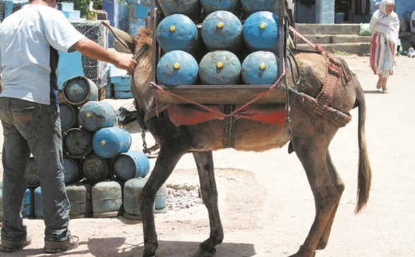 Le Maroc ne serait pas fixé sur le nombre de ses pauvres !
