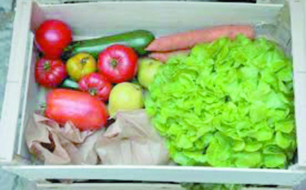 Impossible de passer à une agriculture 100% bio sans changements majeurs