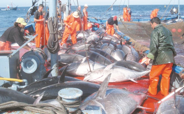 Nouvelles normes de travail dans l’industrie de la pêche