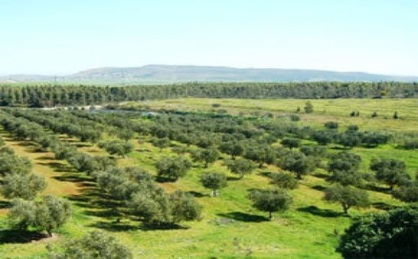 Région de Taza-Al Hoceima-Taounate : Consultations autour de la Charte de l’environnement