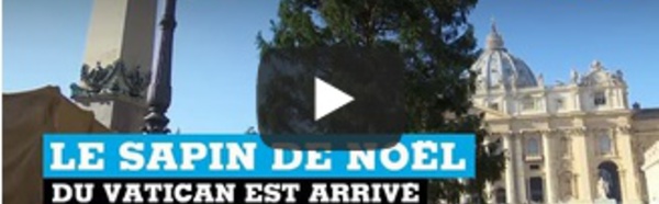 Le sapin de Noël du Vatican est arrivé