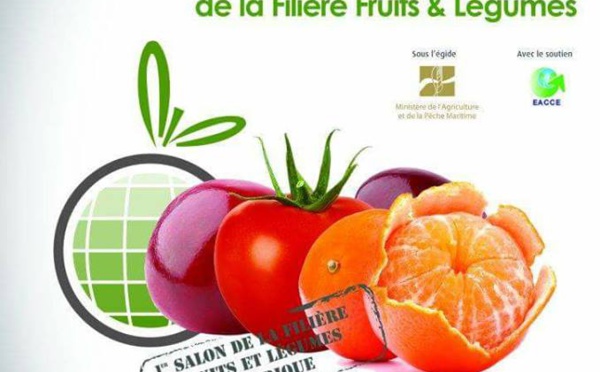 La région de Souss-Massa exporte au niveau national plus de 86% de primeurs et plus de 96% de tomates