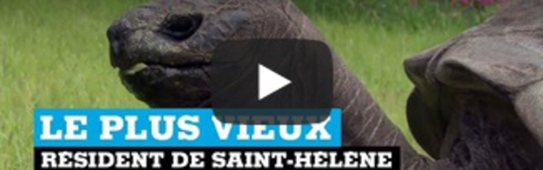 Le plus célèbre résident de Saint-Hélène