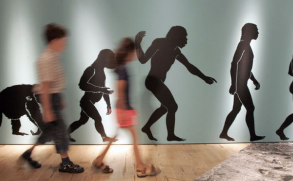 Origine de l'homme moderne