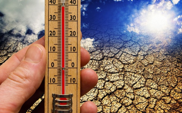 Le réchauffement climatique, seul responsable de la canicule en 2016