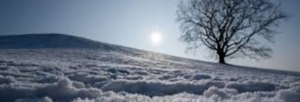 Doublement des chutes de neige en Alaska