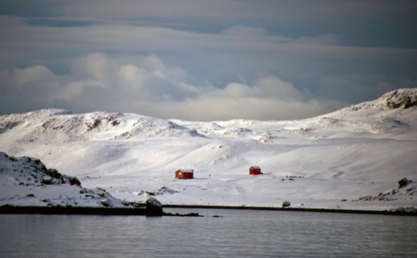 Un reptile carnivore vivait en Antarctique voici 150 millions d'années