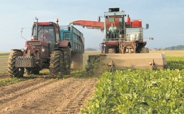 La croissance de l’économie nationale à la croisée des chemins