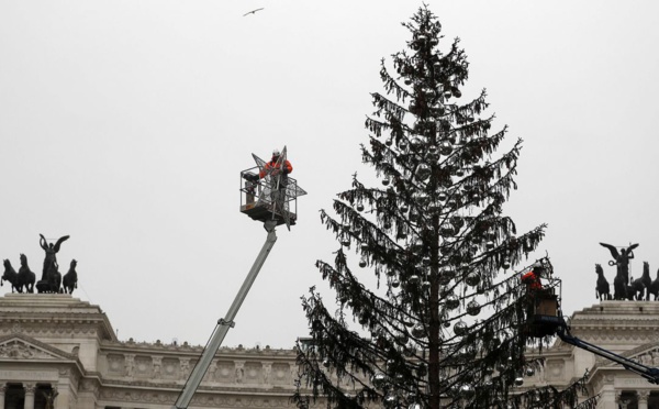 Insolite : Arbre de Noël déplumé