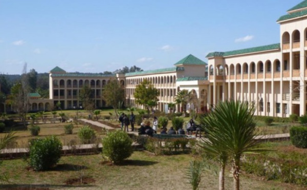 Lancement à l’Université Hassan 1er de Settat du projet INSITES