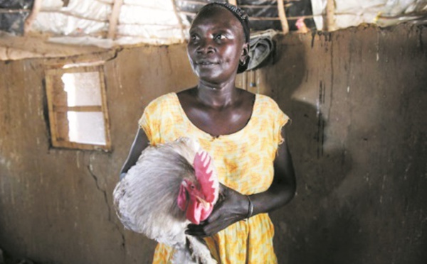 Au Sénégal, les femmes gagnent en autonomie grâce à l'agriculture